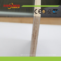 18mm Finger Joint Core Film Faced Plywood